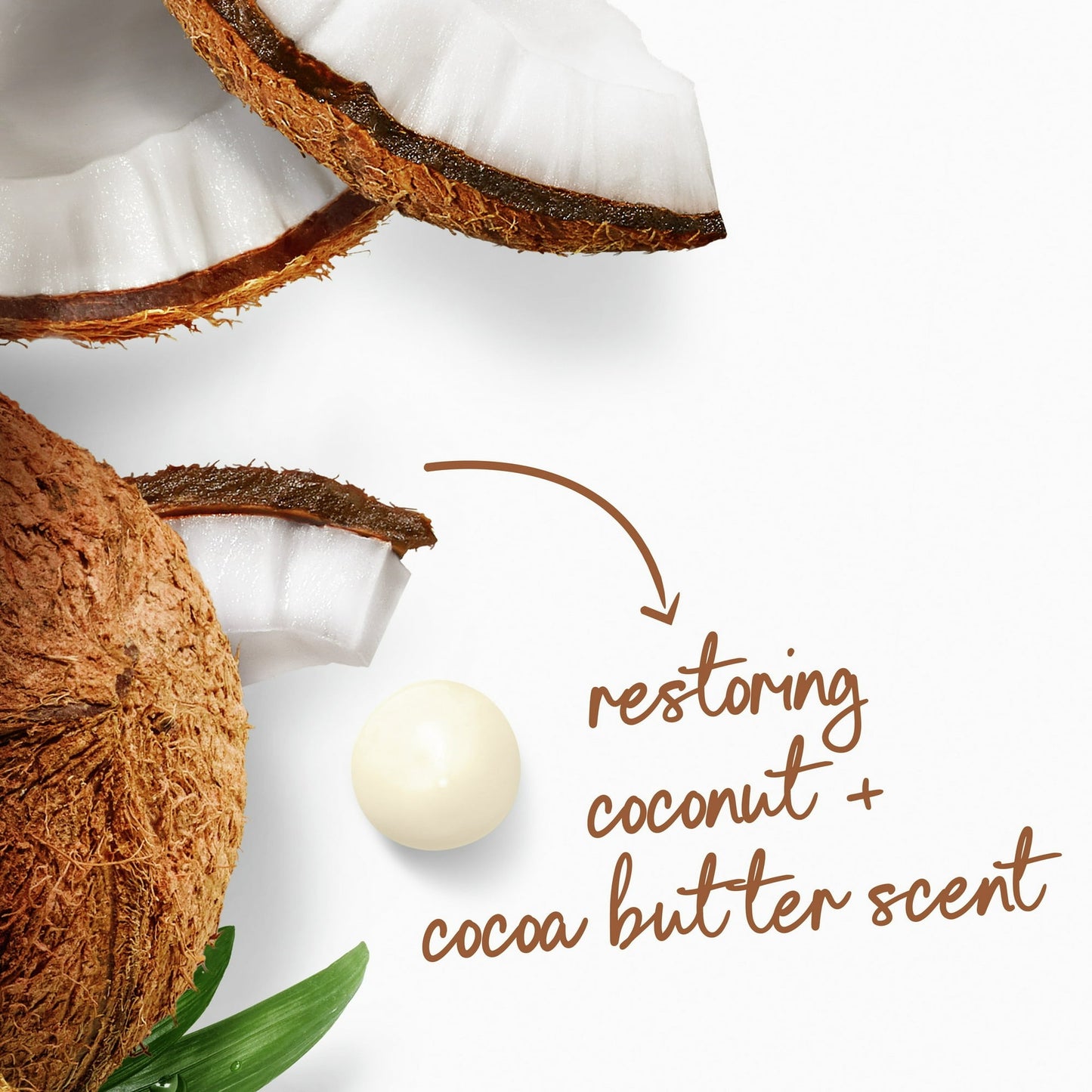 dove body wash for women restoring coconut & cocoa butter, 20 oz 2 count