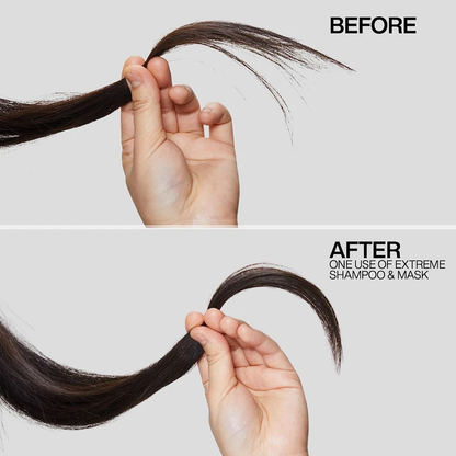 Redken Extreme 10.1 fl oz | Strengthening Hair Care | Choose Your Shampoo or Conditioner